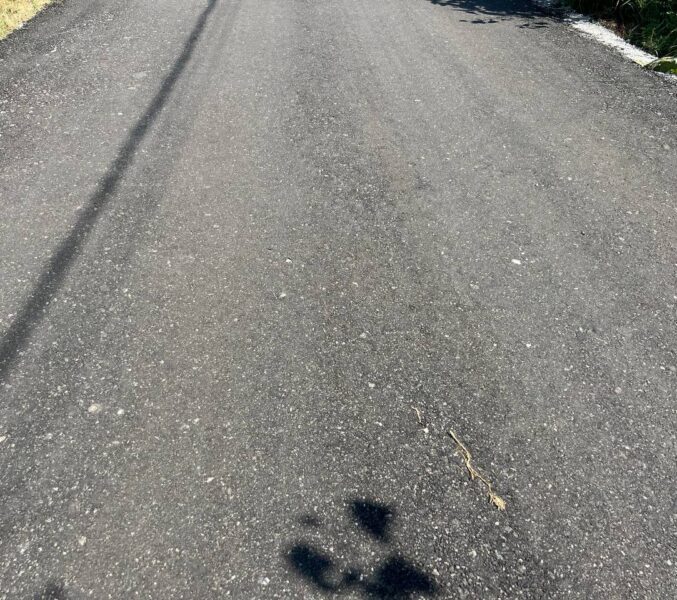 2026-02-24 14.24.44 Асфальтування в Вишгороді